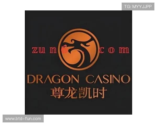 尊龙凯时电脑版高效客服支持，解决您的所有使用疑问